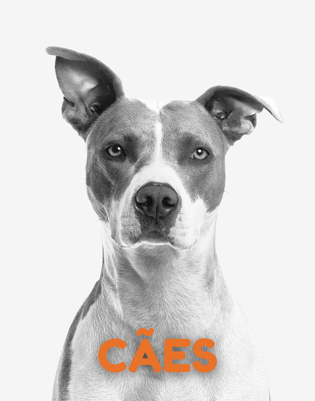 Cães